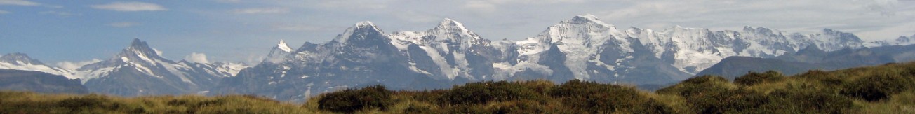 Bärenpfad Bärenpfad